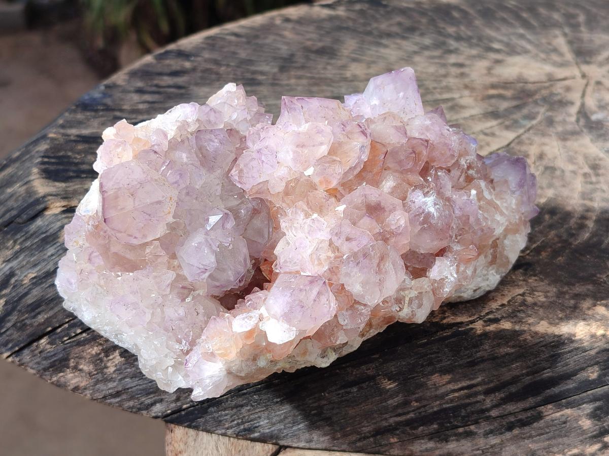 Natural Large Spirit Amethyst Cluster x 1 From Boekenhouthoek, South Africa - Toprock Gemstones and Minerals 
