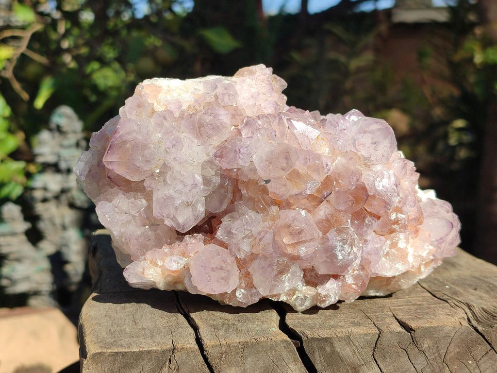 Natural Large Spirit Amethyst Cluster x 1 From Boekenhouthoek, South Africa - Toprock Gemstones and Minerals 