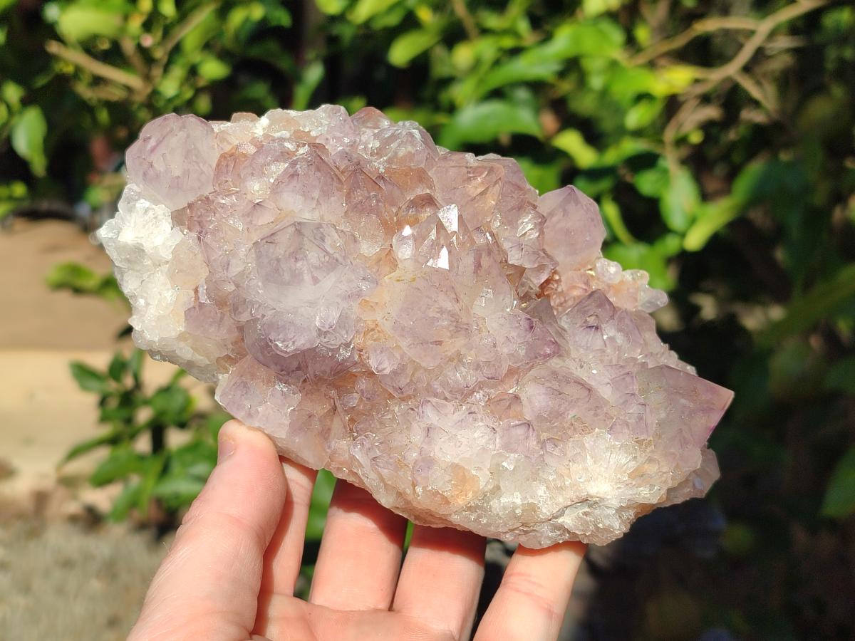 Natural Large Spirit Amethyst Cluster x 1 From Boekenhouthoek, South Africa - Toprock Gemstones and Minerals 