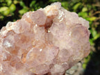 Natural Large Spirit Amethyst Cluster x 1 From Boekenhouthoek, South Africa - Toprock Gemstones and Minerals 