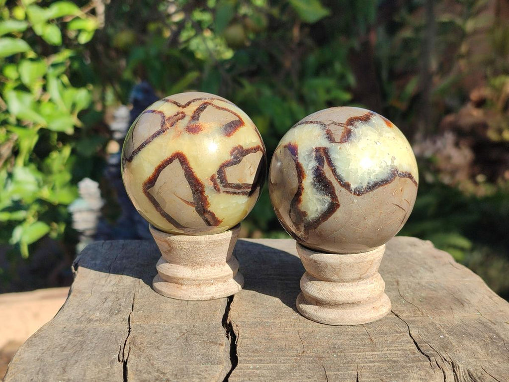 Polished Septerye Spheres x 6 From Mahajanga, Madagascar - Toprock Gemstones and Minerals 