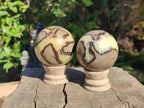 Polished Septerye Spheres x 6 From Mahajanga, Madagascar - Toprock Gemstones and Minerals 