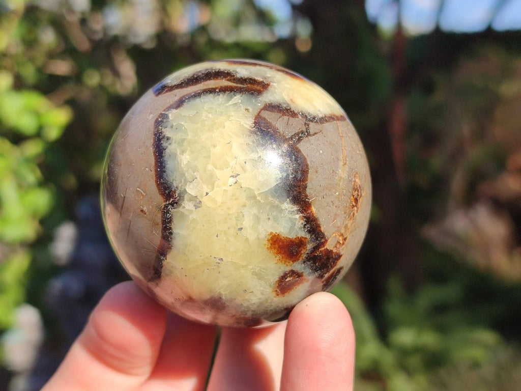 Polished Septerye Spheres x 6 From Mahajanga, Madagascar - Toprock Gemstones and Minerals 