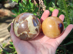 Polished Septerye Spheres x 6 From Mahajanga, Madagascar - Toprock Gemstones and Minerals 