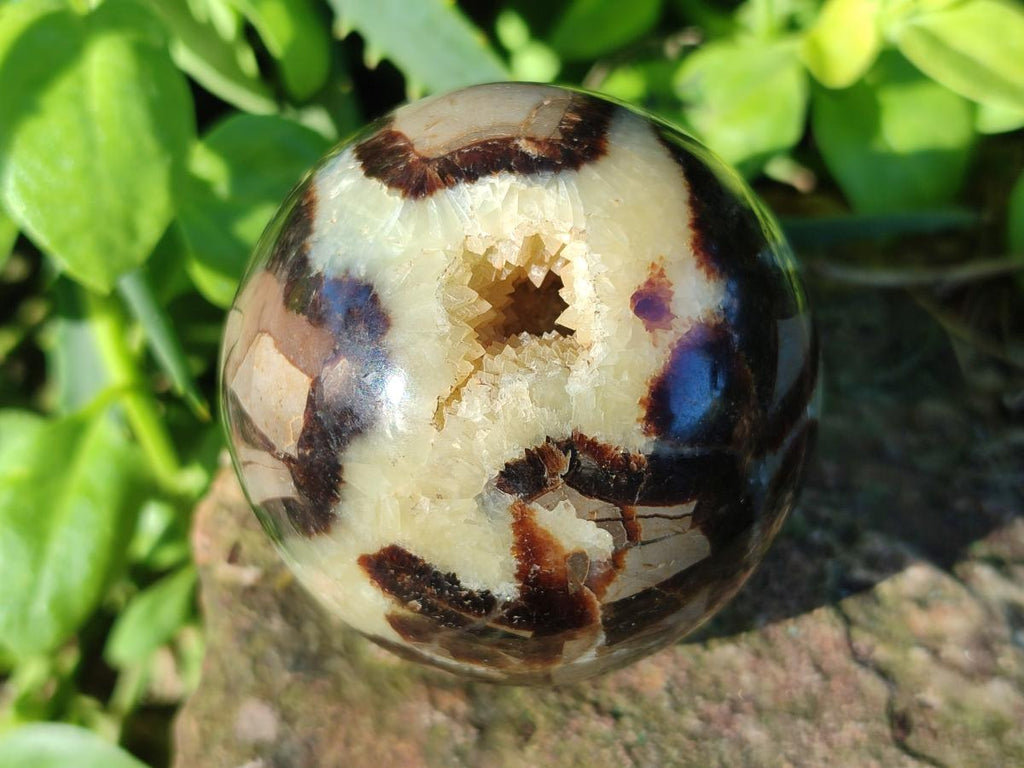 Polished Septerye Spheres x 6 From Mahajanga, Madagascar - Toprock Gemstones and Minerals 