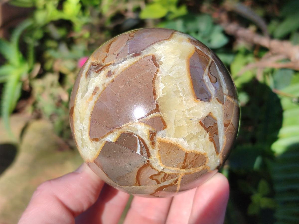 Polished Septerye Spheres x 6 From Mahajanga, Madagascar - Toprock Gemstones and Minerals 