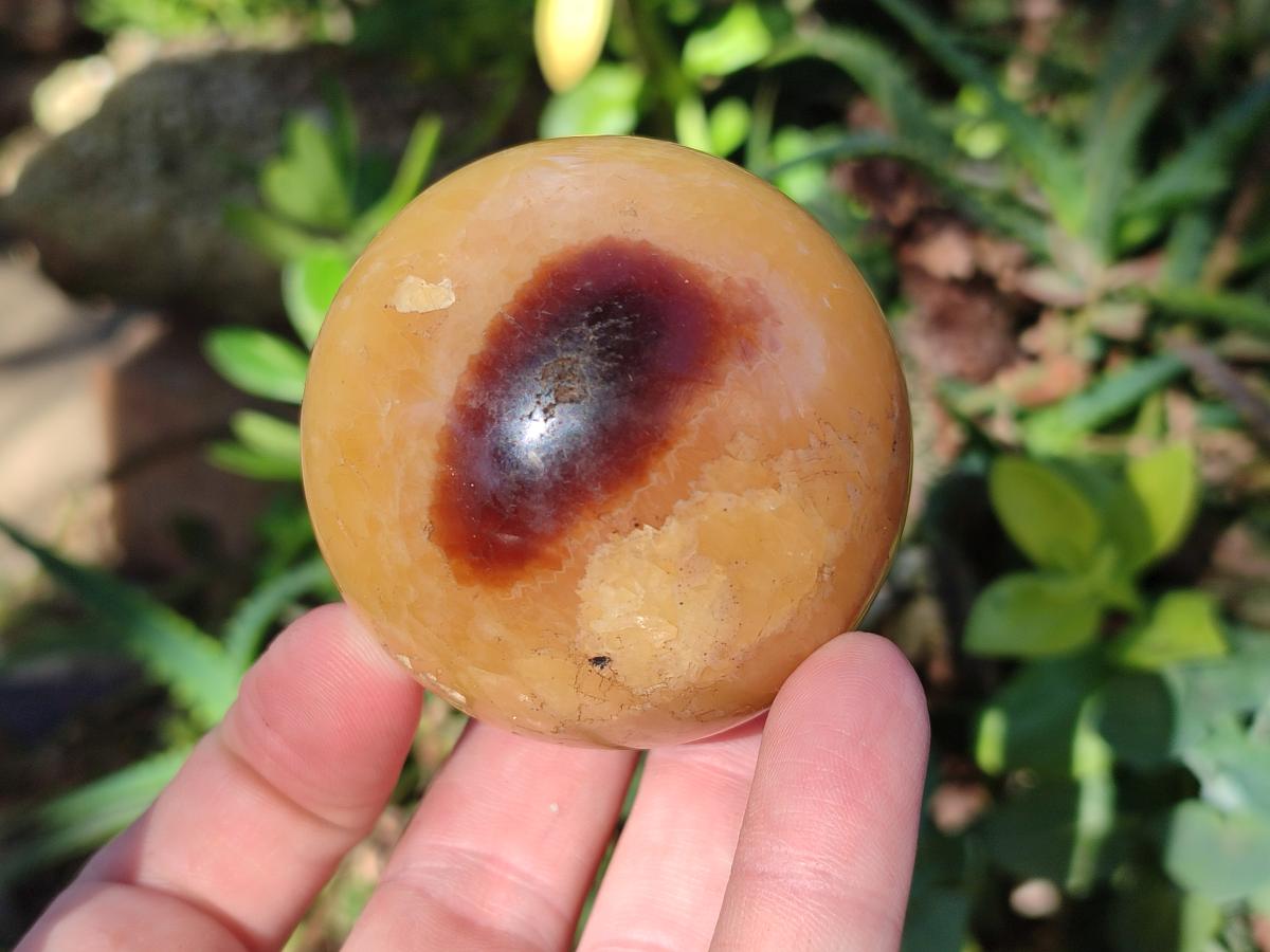 Polished Septerye Spheres x 6 From Mahajanga, Madagascar - Toprock Gemstones and Minerals 