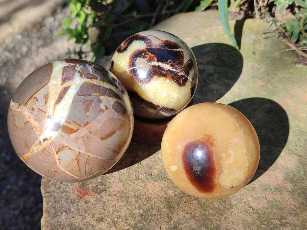 Polished Septerye Spheres x 6 From Mahajanga, Madagascar - Toprock Gemstones and Minerals 