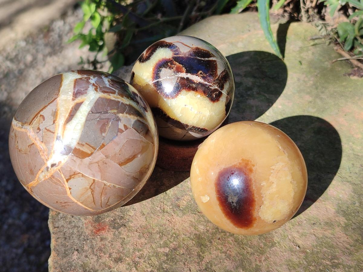 Polished Septerye Spheres x 6 From Mahajanga, Madagascar - Toprock Gemstones and Minerals 