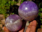 Polished Chevron Amethyst Spheres x 3 From Madagascar - Toprock Gemstones and Minerals 