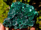 Natural Cabinet Silky Malachite Specimens x 2 From Kasompe, Congo - Toprock Gemstones and Minerals 