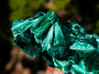 Natural Cabinet Silky Malachite Specimens x 2 From Kasompe, Congo - Toprock Gemstones and Minerals 