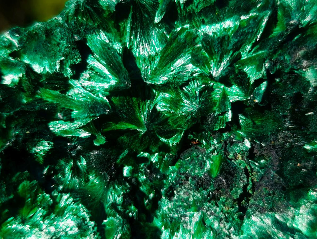 Natural Cabinet Silky Malachite Specimens x 2 From Kasompe, Congo - Toprock Gemstones and Minerals 