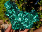 Natural Cabinet Silky Malachite Specimens x 2 From Kasompe, Congo - Toprock Gemstones and Minerals 