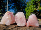 Natural Cobbed Rose Quartz Specimens x 12 From Northern Cape, South Africa - Toprock Gemstones and Minerals 