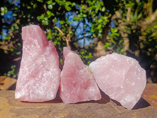 Natural Cobbed Rose Quartz Specimens x 12 From Northern Cape, South Africa - Toprock Gemstones and Minerals 