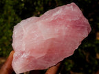 Natural Cobbed Rose Quartz Specimens x 12 From Northern Cape, South Africa - Toprock Gemstones and Minerals 