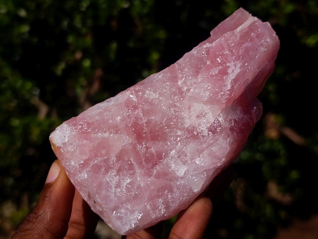 Natural Cobbed Rose Quartz Specimens x 12 From Northern Cape, South Africa - Toprock Gemstones and Minerals 