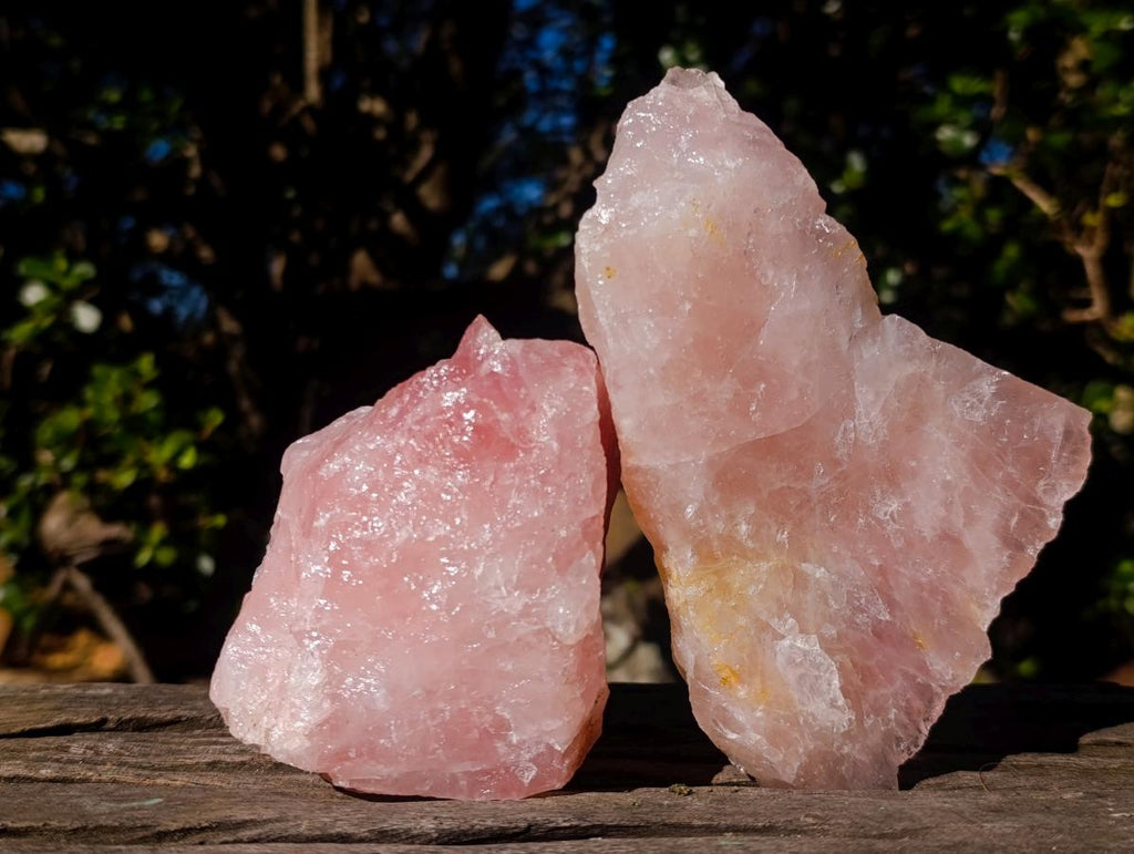 Natural Cobbed Rose Quartz Specimens x 12 From Northern Cape, South Africa - Toprock Gemstones and Minerals 