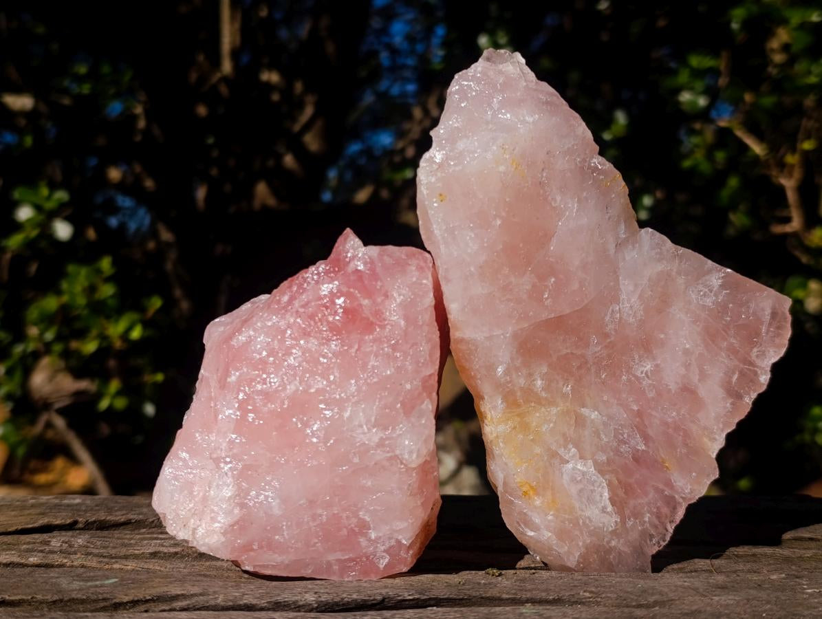 Natural Cobbed Rose Quartz Specimens x 12 From Northern Cape, South Africa - Toprock Gemstones and Minerals 