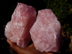 Natural Cobbed Rose Quartz Specimens x 12 From Northern Cape, South Africa - Toprock Gemstones and Minerals 