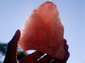 Natural Cobbed Rose Quartz Specimens x 12 From Northern Cape, South Africa - Toprock Gemstones and Minerals 