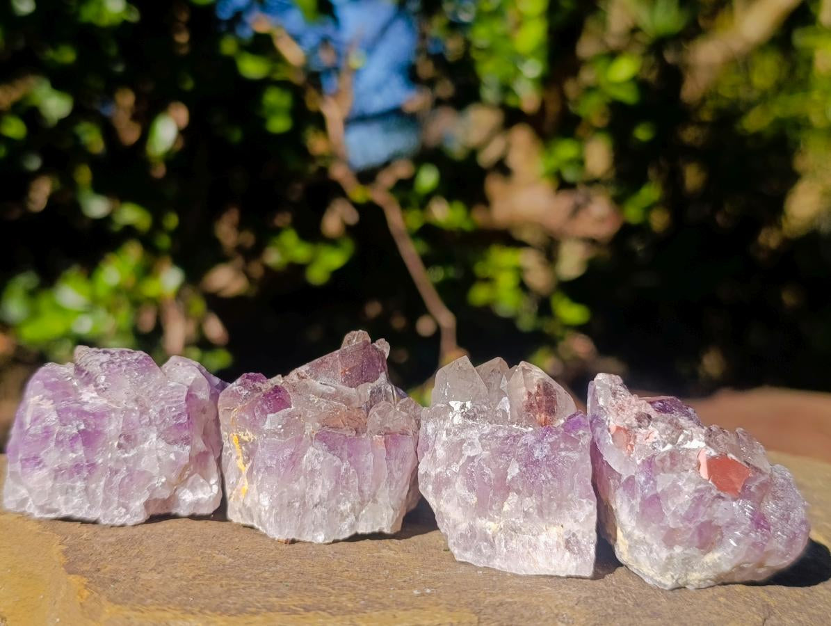 Natural Rare Amethyst Asylum Quartz Clusters x 35 From Luena, Congo - Toprock Gemstones and Minerals 