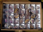 Natural Rare Amethyst Asylum Quartz Clusters x 35 From Luena, Congo - Toprock Gemstones and Minerals 