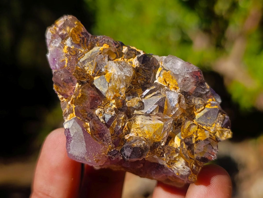 Natural Rare Amethyst Asylum Quartz Clusters x 35 From Luena, Congo - Toprock Gemstones and Minerals 