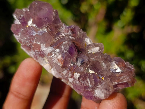 Natural Rare Amethyst Asylum Quartz Clusters x 35 From Luena, Congo - Toprock Gemstones and Minerals 