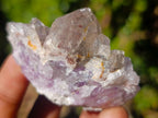 Natural Rare Amethyst Asylum Quartz Clusters x 35 From Luena, Congo - Toprock Gemstones and Minerals 