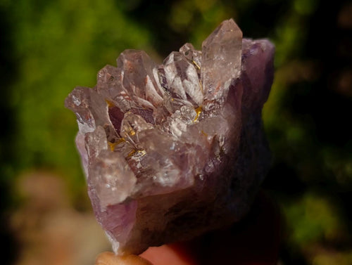 Natural Rare Amethyst Asylum Quartz Clusters x 35 From Luena, Congo - Toprock Gemstones and Minerals 