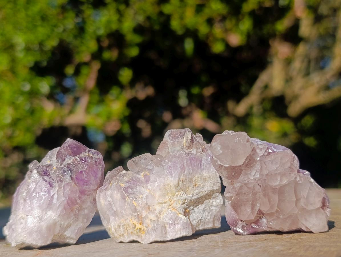 Natural Rare Amethyst Asylum Quartz Clusters x 35 From Luena, Congo - Toprock Gemstones and Minerals 