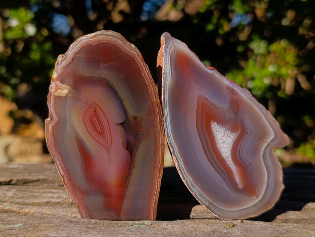 Polished One Side Red Shashe River Agate Nodules x 6 From Shashe River, Zimbabwe - Toprock Gemstones and Minerals 