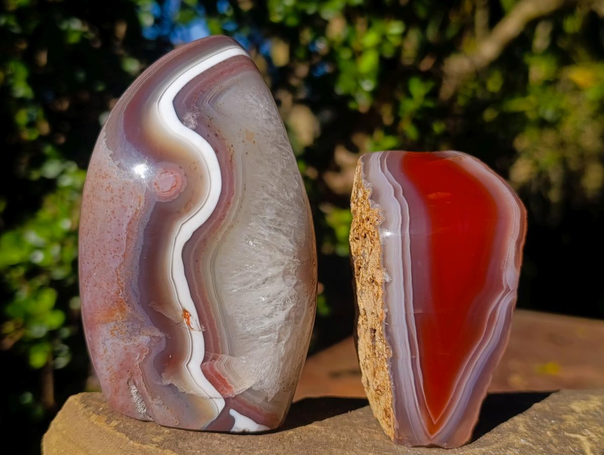 Polished One Side Red Shashe River Agate Nodules x 6 From Shashe River, Zimbabwe - Toprock Gemstones and Minerals 