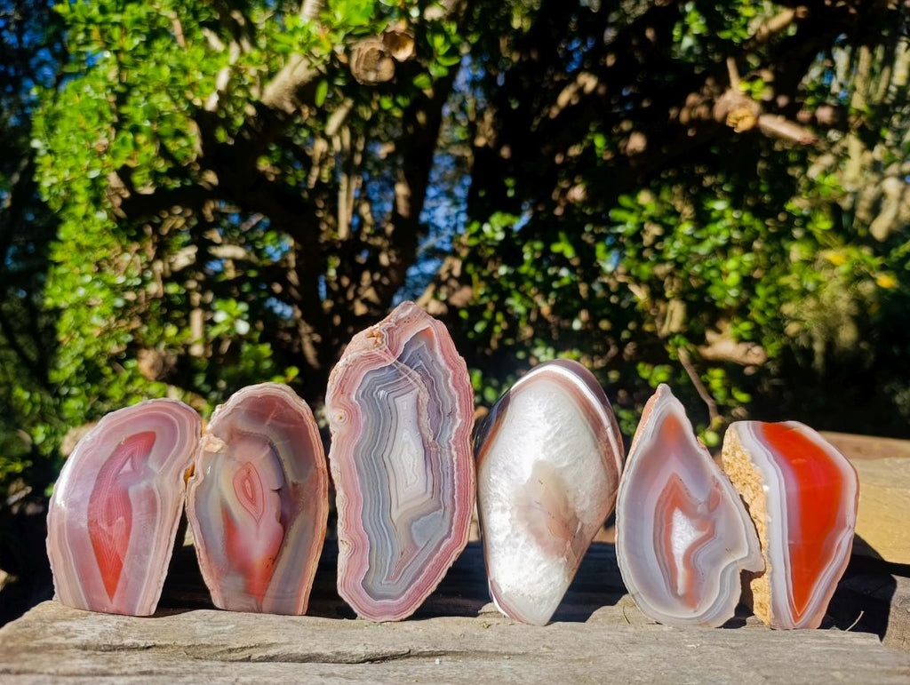 Polished One Side Red Shashe River Agate Nodules x 6 From Shashe River, Zimbabwe - Toprock Gemstones and Minerals 