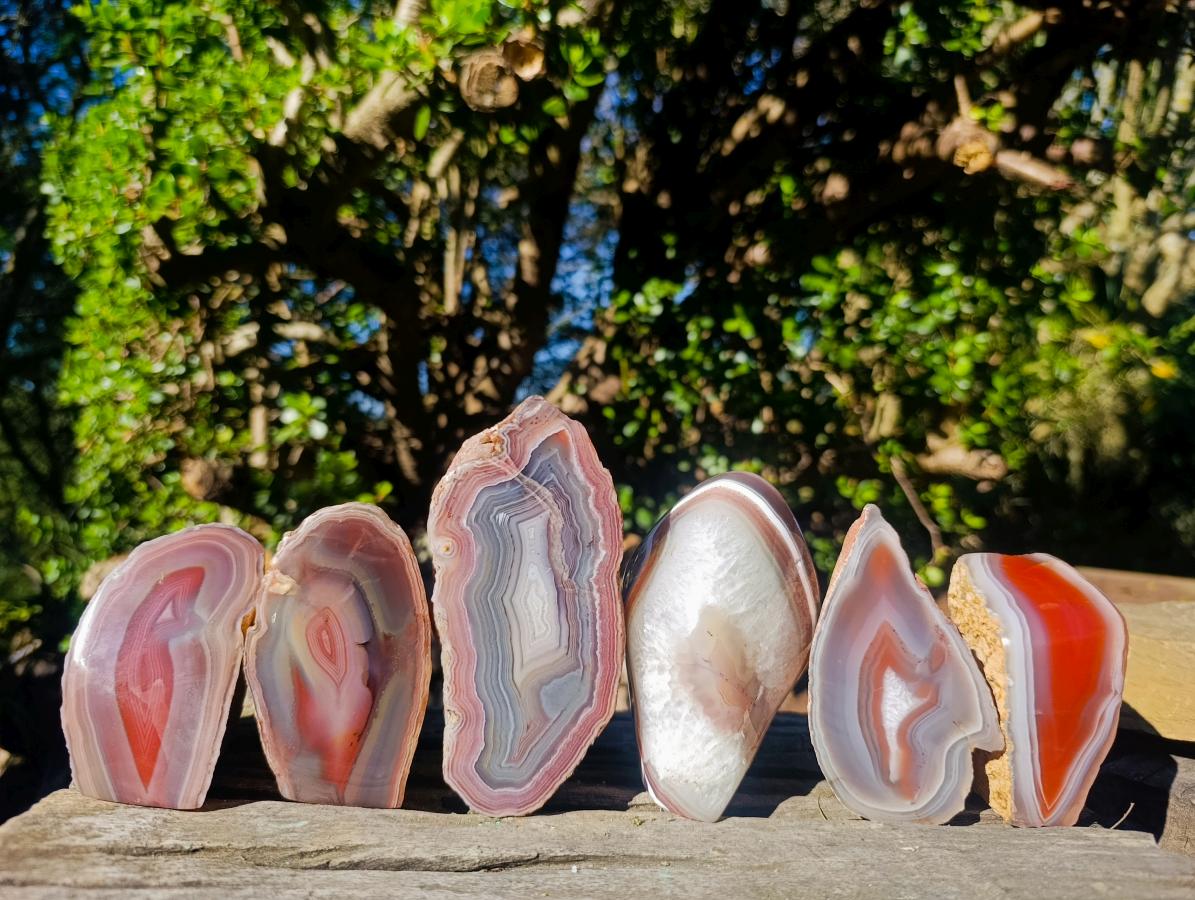 Polished One Side Red Shashe River Agate Nodules x 6 From Shashe River, Zimbabwe - Toprock Gemstones and Minerals 