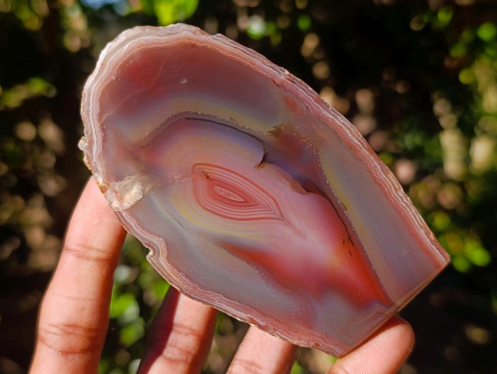 Polished One Side Red Shashe River Agate Nodules x 6 From Shashe River, Zimbabwe - Toprock Gemstones and Minerals 