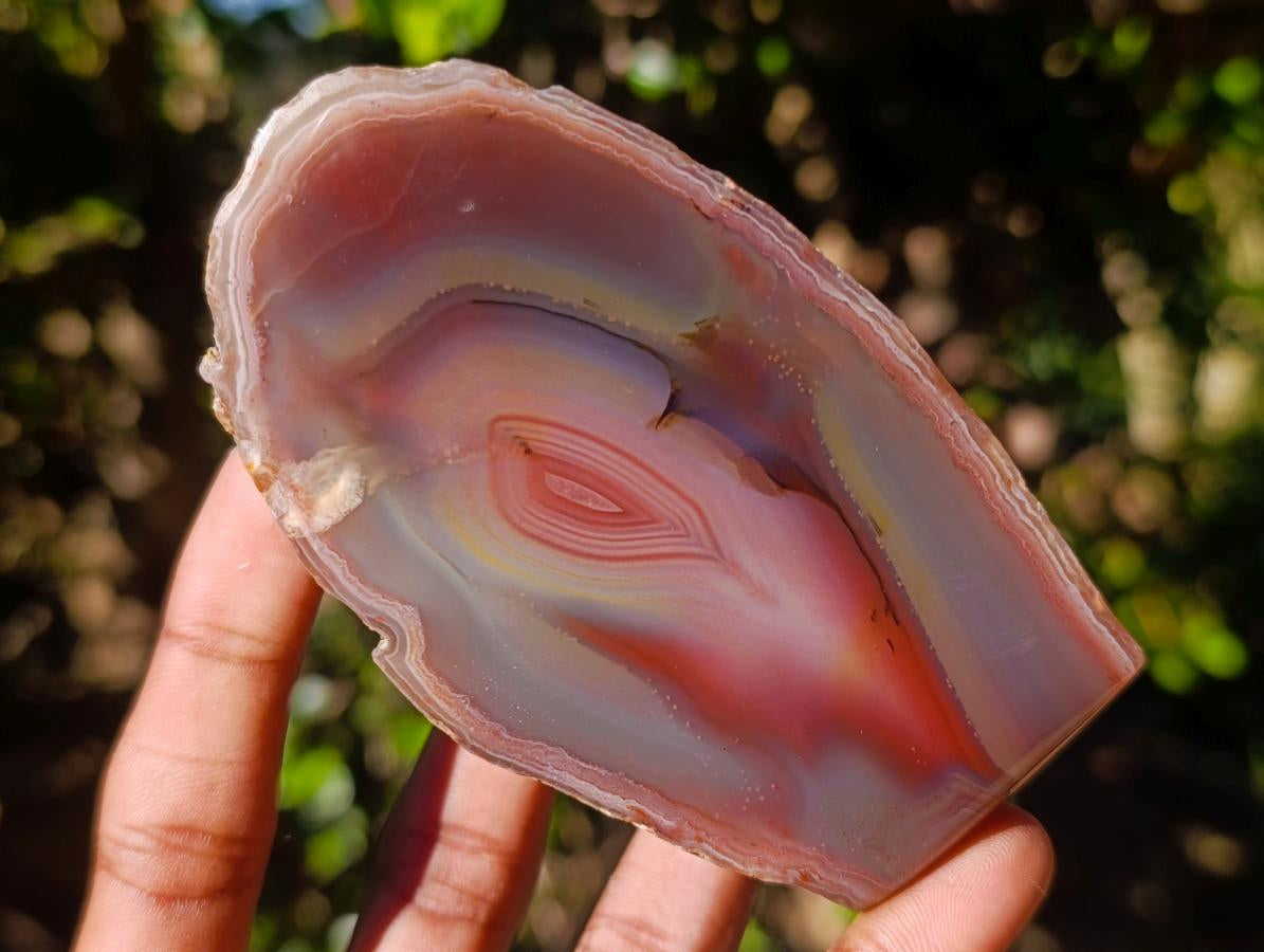 Polished One Side Red Shashe River Agate Nodules x 6 From Shashe River, Zimbabwe - Toprock Gemstones and Minerals 