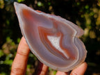 Polished One Side Red Shashe River Agate Nodules x 6 From Shashe River, Zimbabwe - Toprock Gemstones and Minerals 
