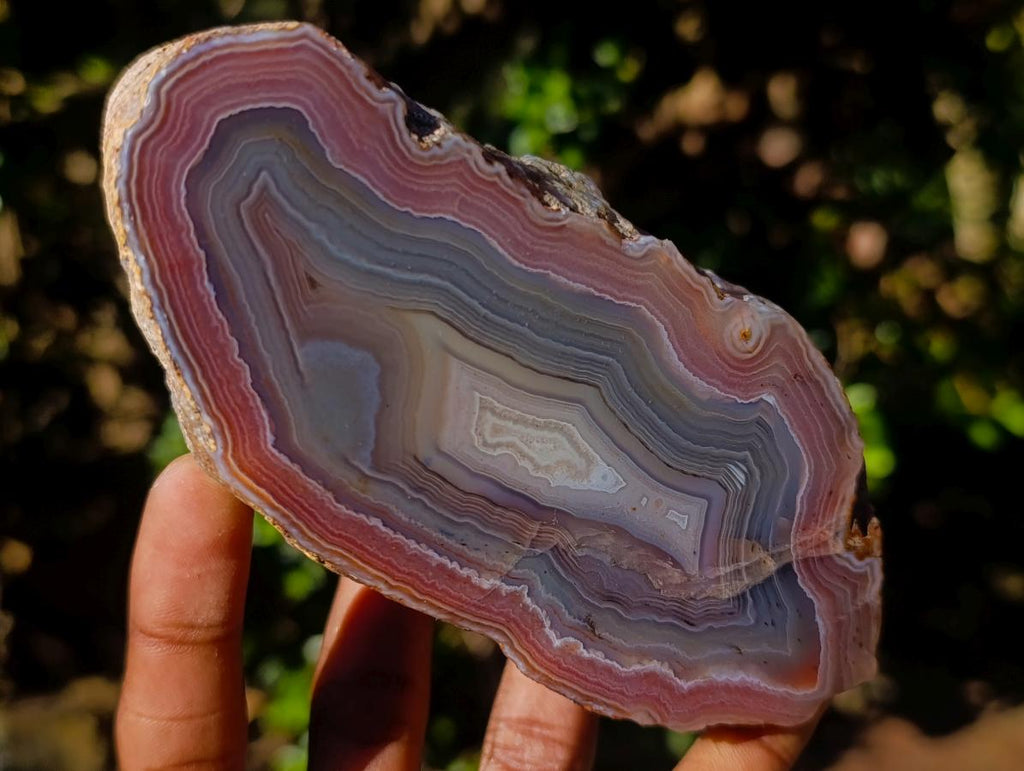 Polished One Side Red Shashe River Agate Nodules x 6 From Shashe River, Zimbabwe - Toprock Gemstones and Minerals 