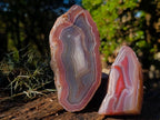 Polished One Side Red Shashe River Agate Nodules x 6 From Shashe River, Zimbabwe - Toprock Gemstones and Minerals 
