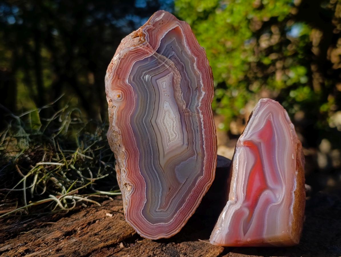 Polished One Side Red Shashe River Agate Nodules x 6 From Shashe River, Zimbabwe - Toprock Gemstones and Minerals 