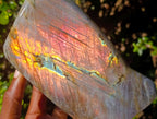 Polished Large Labradorite Standing Display Piece x 1 From Madagascar - Toprock Gemstones and Minerals 