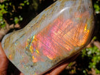 Polished Large Labradorite Standing Display Piece x 1 From Madagascar - Toprock Gemstones and Minerals 