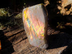 Polished Large Labradorite Standing Display Piece x 1 From Madagascar - Toprock Gemstones and Minerals 