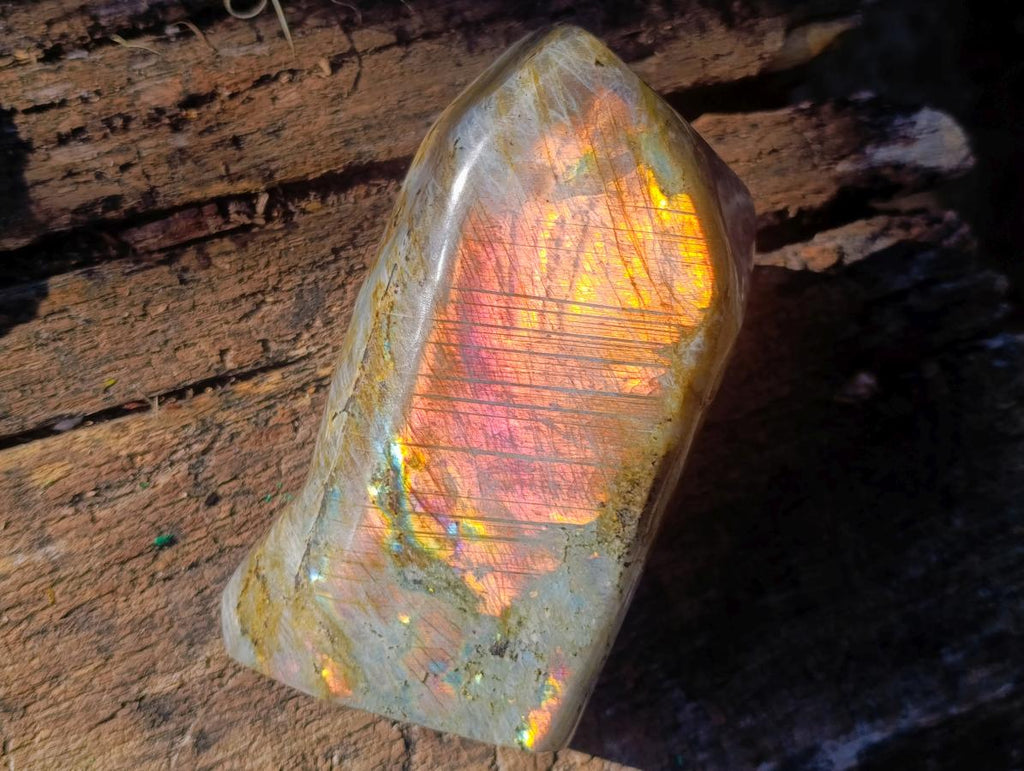 Polished Large Labradorite Standing Display Piece x 1 From Madagascar - Toprock Gemstones and Minerals 