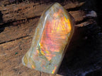 Polished Large Labradorite Standing Display Piece x 1 From Madagascar - Toprock Gemstones and Minerals 