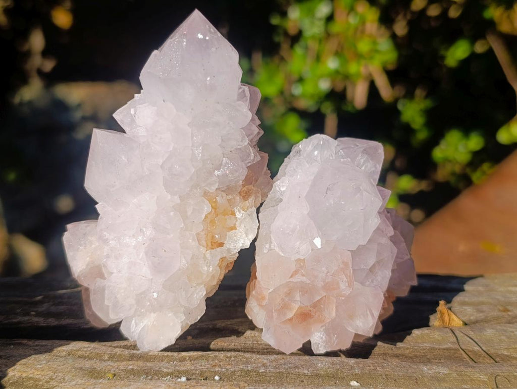 Natural Spirit Amethyst Clusters x 6 From Boekenhouthoek, South Africa - Toprock Gemstones and Minerals 