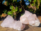Natural Spirit Amethyst Clusters x 6 From Boekenhouthoek, South Africa - Toprock Gemstones and Minerals 